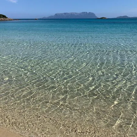 Noemi - Panoramic, Speed Wi-fi, Fully Equipped Olbia